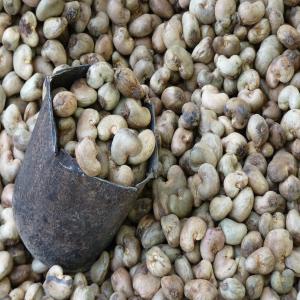  Achat De Noix De Cajou - autres une soci&eacute;t&eacute; d'achat de noix de cajou recherche des partenaire pour fournir la (noix de cajou de cote divoire) 10 000 tonnes de noix de cajou r&eacute;ception du produit au port d'abidjan . offre exclusivement r&eacute;serv&eacute;e au soci&eacute;t&eacute; coop&eacute;rative . pri