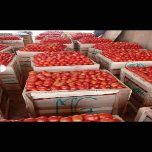  Tomate Burkina Faso - fruits et légumes nous sommes des producteurs de tomates au burkina faso nous des clients pour l'achat de notre produit.merci nous comptons sur vous.