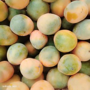  Mangues De Qualité Supérieure Disponible - fruits et légumes mangues de qualit&eacute; sup&eacute;rieure disponible au burkina faso &agrave; partir du mois d’avril. nous pouvons exporter partout dans le monde. contactez nous pour plus d’informations.