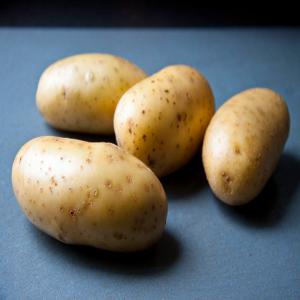  Vente De Pomme De Terre - autres vente de pomme de terre nous disposons de plus de 20 tonnes de pomme de terre faites de chaque repas un festin avec nos pomme de terre fra&icirc;che polyvalentes et d&eacute;licieuses elles s adaptent &agrave; toutes vos cr&eacute;ations culinaires. nous avons des pommes de terre de qualit&