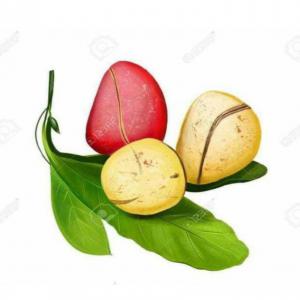  Vente De Noix De Colas En Grande Quantité - fruits et légumes opportunité commerciale- fourniture régulière de noix de colas de qualité supérieure!----nous sommes heureux de vous présenter une opportunité commerciale exceptionnelle. nous sommes en mesure de fournir régulièrement une grande quantit&