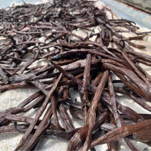  Vanille Bourbon De Madagascar - épices aromates bonjour, --notre soci&eacute;t&eacute; est sp&eacute;cialis&eacute; dans la vente de vanille en france et europe.--nous recherchons des fournisseurs et tarifs pour les quantit&eacute;s et qualit&eacute;s suivantes ---- gousses noires gourmet 16+ humidit&eacute; 31/ 33% environ 1800/2500kg par an--- &