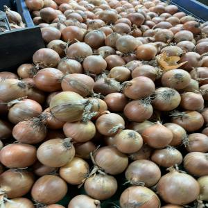  Oignon Jaune Origine Hollande Calibre 50/70 - fruits et légumes bonjour,  oignons jaunes origine hollande calibre  50/70 en sac 10 kg  actuellement rendu rungis pour € 0, 65/kg  si vous prenez une palette complète de 1250 kg.--pomme de terre agria calibre 45+/55+/60+/65+ // bintje 45+/55+/60+ spunta calibre 65+  // melodie calibre 45 + / challenger calibre 