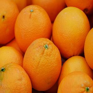  30 Tonnes D agrume Variété Valencia - fruits et légumes  nous sommes des producteurs d agrumes tunisiens installer &agrave; nabeul et nous cherchons des clients s&eacute;rieux pour la vente de nos produits. actuellement nous disposition de 30 tonnes d agrume vari&eacute;t&eacute; valencia disponible est partie du mois d'avril