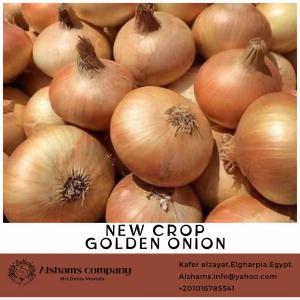  Fresh Onion - fruits and vegetables we would like to offer our  fresh onion --variety- red-golden--origin- egypt--availability- --  onion's season from now to february.--price- depended on package and destination--onion specification----  size - all sizes according to customer request--  color - full color --  class 1--packing availab