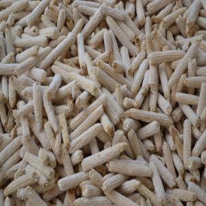  Vente De Rafle De Maïs En Quantité - energie renouvelable je recherche des clients &agrave; travers le monde pour revendre les rafles de maïs. au togo les rafles de maïs ne sont pas mise en valeur ou transformer en d'autres produits.