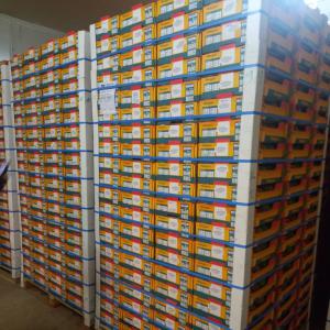  Exportateur Fruit Exotique: Mangue, Ananas, Coco - fruits et légumes vous cherchez des fournisseurs de fruits exotiques fiables et de qualit&eacute; ? ne cherchez plus ! terra company est l&agrave; pour vous servir.----nous sommes sp&eacute;cialis&eacute;s dans l'importation de fruits exotiques,  notamment la mangue,  l'ananas et la noix de coco,  en provenance de l'afr