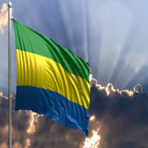  Recherche De Financement - Industrie exploitation bonjour --nous sommes mandatés par le nouveau gouvernement gabonais --nous recherchons des partenaires financier et partenaire technique --pour la réalisation de grand travaux ( construction de route logement sociaux hôpital et autres..)--les pourpqrler se feront directement sur 