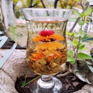  Fleurs De Thé Thé Fleurit - café cacao thé nous sommes producteurs de fleurs th&eacute; aussi appel&eacute;es th&eacute;s fleurits celles ci se constituent de boules de feuilles th&eacute;s renfermant diff&eacute;rents agencements de fleurs qui une fois infus&eacute;es vont s'ouvrir et r&eacute;v&eacute;ler toute leur beaut&eacute;. produi