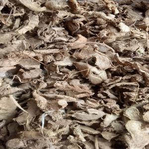  Gingembre Séché Exporter - autres disponible et pret à exportation du gingembre séché de grade a . 2000 tonnes possible. émettre une loi,  et après signature de contrat,  une lc confirmé irrévocable ou une sblc non transférable. 