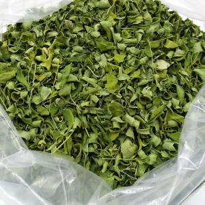  Grossiste Moringa Origine Asie - matiere vegetale nous proposons des feuilles de moringa séchées entières ou sous forme de poudre et graines,  récoltées dans les forets sub---tropicales du sud de la province du yunnan. garanties sans pesticides et 100% naturelles. séchage lent à l'ombre sous courant d