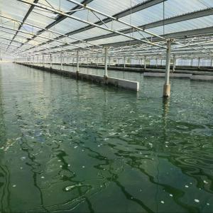  Spiruline Et Chlorelle Certifiées Bio - matiere vegetale nous sommes producteurs de spiruline chlorelle et phycocianine (spiruline bleue) certifi&eacute;es bio union europ&eacute;enne usda jas ainsi que brc et ifs pour la grande distribution. notre spiruline actuelle provient d'une souche s&eacute;lectionn&eacute;e de spirulina platensis d&eacute;vel