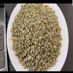  Café Premium D'éthiopie - café cacao thé bonjour je suis consultant en affaires et je travaille avec des producteurs locaux je peux vous fournir les meilleurs grains de café d'éthiopie des meilleurs cultivateurs merci de me contacter pour plus d'infos.