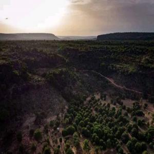  Avocats De Tanzanie - fruits et légumes bonjour je suis en contact direct avec les producteurs d'avocats en tanzanie-- hello,  i'm moussa from dianegoce,  i'd be delighted to work with you. tell me what products and quantities you want and i'll make you the best offer.----hoping for a future collaboration --mr diallo ----we also have this p