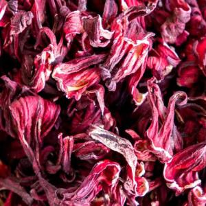  Fleurs D'hibiscus De Haute Qualité - horticulture plante biocarburant madame,  monsieur, ----nous avons le plaisir de vous présenter une opportunité commerciale exceptionnelle en tant que fournisseur de fleurs d'hibiscus de haute qualité. situés au burkina faso,  nous sommes spécialisés dans la culture et la fourniture de fleurs 