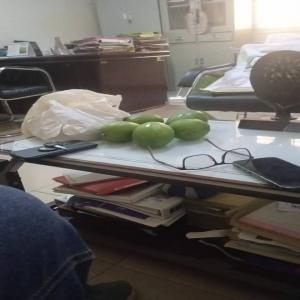  Mangues Fraiches, Mangues Sechees, Noix De Cajou, - fruits et légumes  nous sommes une soci&eacute;t&eacute; d'exportation de fruits et l&eacute;gumes bas&eacute;e au burkina faso travaillant avec des producteurs experiment&eacute;s et certifi&eacute;s.nos produits sont certifi&eacute;s global gap et meme ecocert. nous sommes en mesure de fournir des mangues(