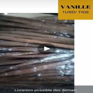  Vanille Gourmet 20fcl Fob - épices aromates bonjour,  --nous sommes producteurs de vanille gourmet et vendons à tonne. situé en afrique de l'est,  dans l'océan indien. --moq - 20 fcl ,   prix fob.--conditionnement - à vôtre convenance. --si vous etes intéressé,  n'hésitez pas à nous co