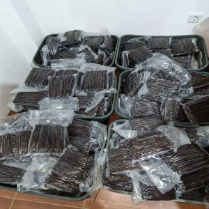  Premium Black Vanilla Beans Bourbon Madagascar - aromatic spices we export the bourbon vanilla and give to our customers ( retail wholesale industry ) the best product at the best price. specification moisture 30% 35% vanillin 1 6% 2 4% length 15cm 20cm maturity 100% payment terms t/t transfer or other delivery lead time within 7 working days vi