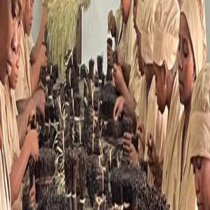  Vanille Gourmet De Madagascar - épices aromates soci&eacute;t&eacute; agr&eacute;e pour l’exportation de vanille de madagascar nous proposons toutes les gammes de vanille pour les professionnels.