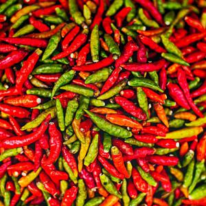  Piments Sechés Madagascar - fruits secs et graines grillées bjr,  je suis à la recherche des clients qui achetent des piments sechés viennent de madagascar, n'importe quel quantité,  tous ce qui est fruits et legumes,  veuillez nous contacter svp.merci.--- discutable--- dans le monde--- en sachet ou carton--- dépand de damande