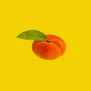  Apricot Producer And Seller - fruits and vegetables proud of our centuries-old heritage. let our apricots transport you to a world of delicious flavors and natural freshness.--trust our partner growers in malatya (turkey). thanks to our state-of-the-art production methods and our commitment to quality,  we are able to offer you an incomparable variety