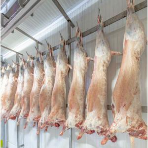  Viande Halal Destinée L'exportation - animaux vivants bonjour, --nous sommes une société basée en espagne,  spécialisée dans l'approvisionnement de la viande halal.--principe - 100% halal - sacrifice manuel,  sans électronise,  sans étourdissement. contrôle strict avec un staff qualifié bien vei