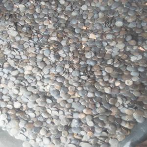  Griffonia Now Available - roasted seeds and nuts we are a company based in the ivory coast,  specializing in the marketing and export of griffonia.--thanks to our expertise,  we offer quality products and have stock available in large quantities.--our products are sold by the kilogram in 25kg bags.--don't hesitate to contact us