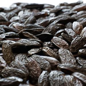  Fèves De Tonka - épices aromates importateur fran&ccedil;ais sp&eacute;cialis&eacute; dans les &eacute;pices d'exception expert en f&egrave;ves de tonka d'am&eacute;rique du sud. f&egrave;ves de tonka d'am&eacute;rique du sud vous propose f&egrave;ve de tonka aux ar&ocirc;mes intenses ar&ocirc;mes intenses et stables offrant un 