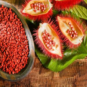  100% Natural Annatto Seed For Sale - seed plant seed instruction for use -dried annatto powder for food coloring----shelf life -4 months--style - dried--processing type- raw--shape- piece--color- natural red--weight (kg) - 50--product name- dried red color annatto seeds--type - natural color spices--grade - 100% pure natural food grade--purity- 98%--c