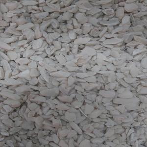 Coquillage Moulu Et Coquillage Entier - coquillage crustacé nous sommes une soci&eacute;t&eacute; ivoirienne sp&eacute;cialis&eacute;e dans la production et la commercialisation de coquillage moulu et coquillage entier pour alimentation animale. par notre expertise en s&eacute;lection et en production de coquillage moulu et coquillage entier nous garantis