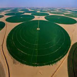  Avendre - autres salam sur vousde nombreuses offres fonci&egrave;res s'offrent &agrave; moi partout en alg&eacute;rie notamment dans l'ouestde 5 hectares &agrave; 1600 hectaresdes terres agricoles qui contiennent de l'eaudes terres d'agrumes de grenadiers de raisins et des olives et des terres vi