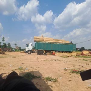  Bois Blanc /bois Rouge: Fromager Teak Etc - bois charbon fibre nous sommes specialis&eacute;s dans l'exportation de produit forestiers ligneux telque iroko,  le teck , le cedrilac,  les portes 🚪 + cadre. 