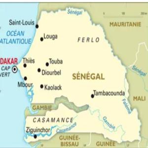  Cherche Fournisseur De Bon Lait Écrémé - lait et produits laitiers bonjour,  --nous sommes au sénégal et nous cherchons un fournisseurs de lait écrémé végétale en grèce,  bulgarie,   pologne et hollande.--nous cherchons un fournisseur sérieux capable de travailler avec nous sur le long terme.--n'hés