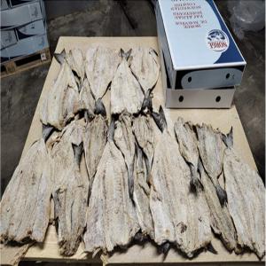  Vente En Gros Poisson Salé Makayabu Norge - poissons bonjour,  ----nous pouvons vous fournir le meilleur poisson salé (makayabu) du marché a un prix très compétitif et sans limite de quantité.----n'hésitez pas a nous contacter pour plus de détails.----nous sommes a votre disposition