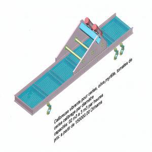  Calibreuse Vibrante Pour Fruits Et Legumes - fruits et légumes calibreuse vibrante pour fruits et legumes calibreuse vibrante a rouleaux mobiles concernant fruits et l&eacute;gumes,  cerise,  olives,  myrtilles,  tomates de cerise--calibrage- par diam&egrave;tre--capacit&eacute;- 0, 2 m 3 &agrave; 3 m 3 par heures--construction- inox 304 l 220/380 volts 50 hz(maroc)
