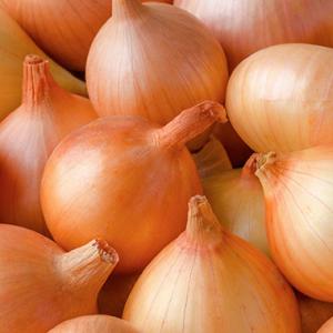  Oignons Naturels De Madagascar - fruits et légumes bienvenue dans le monde des oignons naturels de madagascar,  où la qualité rencontre l'authenticité ! nous sommes fiers de vous offrir des oignons cultivés avec soin dans nos terres malgaches,  bénéficiant du climat idéal et de pratiques agricoles traditionnel