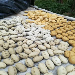  Argileur - ciment bonjour nous recherchons des acheteurs ou partenaire d'affaires pour notre site d'argile je rappelle que nous sommes les propriétaires,  nous résidons en côte d'ivoire,  pour tout personnes intéressées veuillez me contacter merci.....