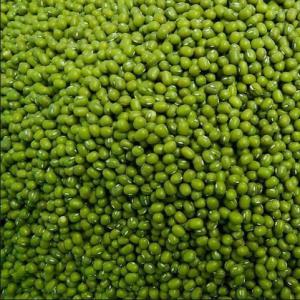  Green Mung Bean For Sale - other specification----name- green mung bean--product type- green mung bean--style- dried--cultivation type- common--packaging- pp--color- natural color.--moisture- 14% max   --admixture- 1% max--imperfect rate- 3% max--size- 2.8mm+, 3.0mm+, 3.2mm+, 3.5mm+     --packing- paper bag,  woven bag or as per custom
