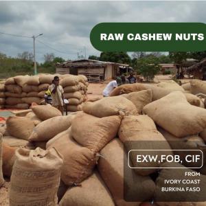  Recherche De Partenaires Pour Noix De Cajou Brut - fruits secs et graines grillées offre de noix de cajou brut origine cote d'ivoire burkina faso kor 46 47 48 quantit&eacute; nous sommes en mesure de vous fournir jusqu'&agrave; 1000 mt par mois selon vos besoins en terme fob cnf cif. termes de paiement lc at sight 100 confirm&eacute;e sblc cash et 50% avant char