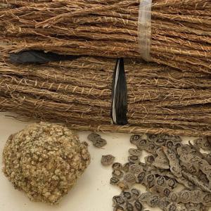  Gongolili,rose De Jéricho Disponibles - matiere vegetale vous etes revendeurs et recherchez une entreprise sérieuse pour vous fournir les plantes médicinales d'origine africaine, ne cherchez plus,  nous sommes disponibles pour vous. nous avons le vétiver (gongolili,  khamare), les 4 côtés, les roses de jéricho, le nep ne