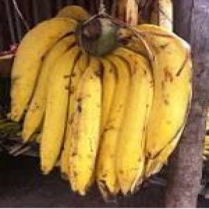  Banane Plantain De Madagascar - fruits et légumes bonjour, ----nous sommes à la recherche des clients des bananes plantains ou banane verte ou jaune venant de madagascar vers maurice, mayotte, réunion ou l'ile pres de mada,  si vous etes interessé,  veuillez nous contacter svp.------cordialement, 