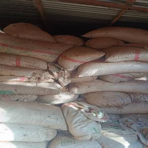  Destokage De Grains De Cajoux - autres ; nous sommes une soci&eacute;t&eacute; de droit camerounais bas&eacute; &agrave; touboro et notre client grossiste de grains de cajoux dispose d'un important stocke dans son magasin a moundou au tchad; 