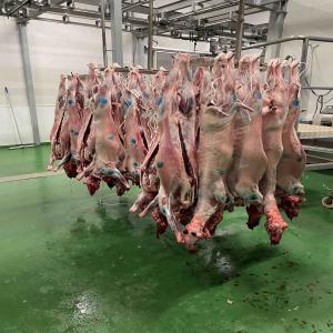  Vente Carcases Agneaux Halal Espagne - viandes et oeufs carcasses agneaux halal poids de 18/22kg nous avons des agneaux pour sacrifier le jour de l'aïd apr&egrave;s la pri&egrave;re prix 250   rendu paris et r&eacute;gion. 800 carcasses par camion 