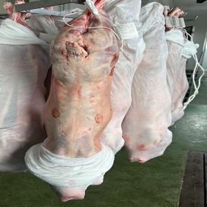  Viande-carcasse Certifiée Agneaux Brebis - viandes et oeufs disponible carcasses agneaux et brebis certifiées --lieu - espagne  --destination - europe,  afrique du nord ( remorque mixte possible --restriction - contact acheteur principal seulement merci ----