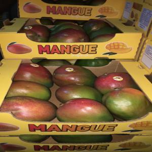  Mangue Kent Du Sénégal De Qualité Premium - fruits et légumes  nous sommes des exportateurs s&eacute;n&eacute;galais de fruits et l&eacute;gumes. bient&ocirc;t la saison des mangues au s&eacute;n&eacute;gal(mi juin d&eacute;but juillet) nous vous proposons des mangues de qualit&eacute; premium certifi&eacute;es global gap avec certificat phytosanita