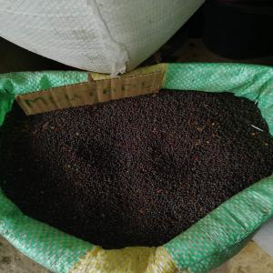  Moutardes 100% - épices aromates nous fournissons également de la moutarde 100% made in cameroun produite par de petites organisations paysannes 