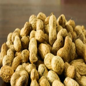  Arachides Vers N'importe Quel Pays. - fruits et légumes je recherche les clients qui ont besoin des arachides secs. nous en cultivons et nous sommes spécialisés à vous exporter dans n'importe quel pays.