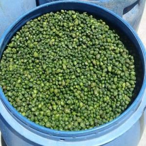  Grossiste De Capre Capres Capers - fruits et légumes nous produisons et vendons chaque année plus de 1500 tonnes de capres de très bonnes qualité dans le monde.--notre capacité de production est de 3000 tonnes. nous vendons notre production en fût de 180kg calibrées par taille incluants les non-pareilles,  surfi