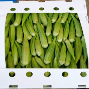  Gombo Clmeson - fruits et légumes nous sommes une entreprise sénégalaise en recherche des clients partout dans le monde.--nos produits sont de qualités et respectent les normes internationales. 