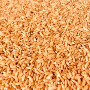  Brown Rice - other we draw on our extensive industry experience and expertise to offer a wide range of high-quality organic brown rice. brown rice is a type of whole-grain rice that is more nutritious than white rice. because it is unrefined,  it contains more dietary fiber,  vitamins and minerals than white rice. brown